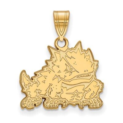 Texas Christian University Medium Pendant 14k Yellow Gold 4Y018TCU, MPN: 4Y018TCU, 886774875088