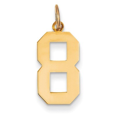 Medium Polished Number 8 Charm 14k Gold LM08, MPN: LM08, 886774102009