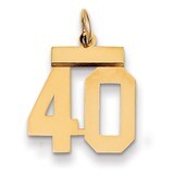 Number 40 Charm 14k Gold Small Polished LS40, MPN: LS40, 883957033594