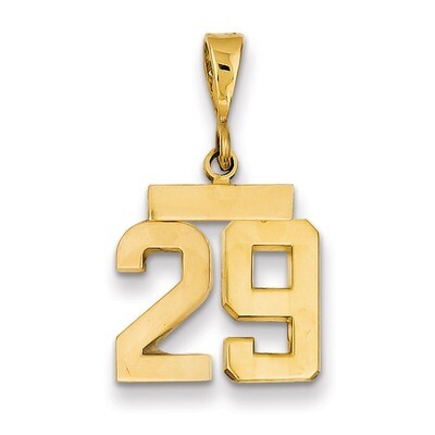Number 29 Charm 14k Gold Small Polished SP29, MPN: SP29, 883957140933