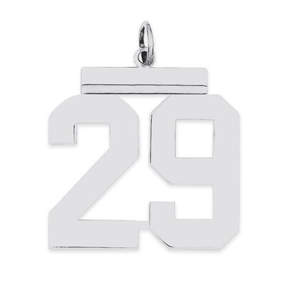 Charm Number 29 Polished Sterling Silver Large QPL29, MPN: QPL29, 191101280801