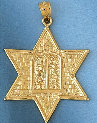 Dazzlers Jewelry Star of Davidmwith Torah Pendant Necklace Charm Bracelet in Yellow, White or Rose …