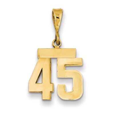 Number 45 Charm 14k Gold Small Polished SP45, MPN: SP45, 883957141220