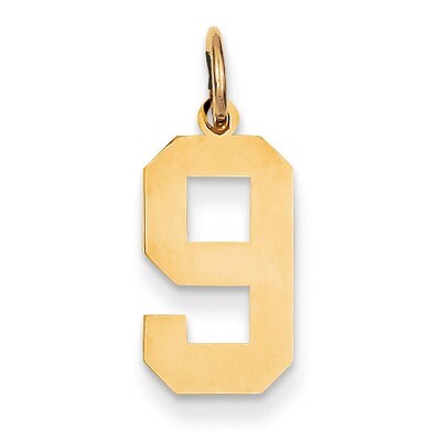 Medium Polished Number 9 Charm 14k Gold LM09, MPN: LM09, 886774102016