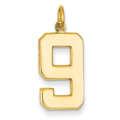 Casted Large Polished Number 9 Charm 14k Gold LP09, MPN: LP09, 886774102214