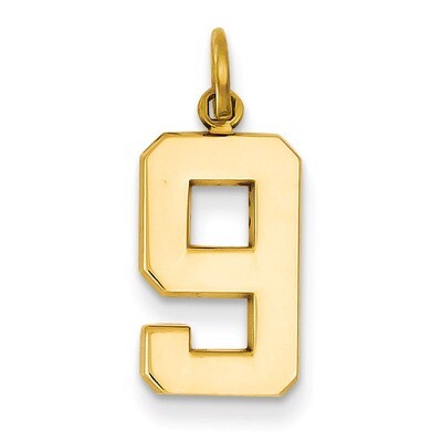 Casted Medium Polished Number 9 Charm 14k Gold MP09, MPN: MP09, 886774103112