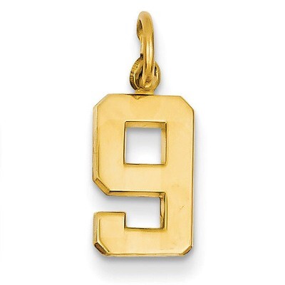 Casted Small Polished Number 9 Charm 14k Gold SP09, MPN: SP09, 191101371714