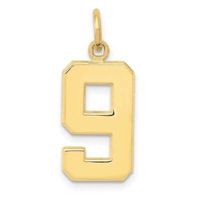 Polished Number 9 Charm 10k Gold Casted Medium 10MP09, MPN: 10MP09,