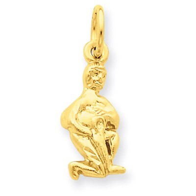 Aquarius Zodiac Charm 14k Gold C486, MPN: C486, 883957860664