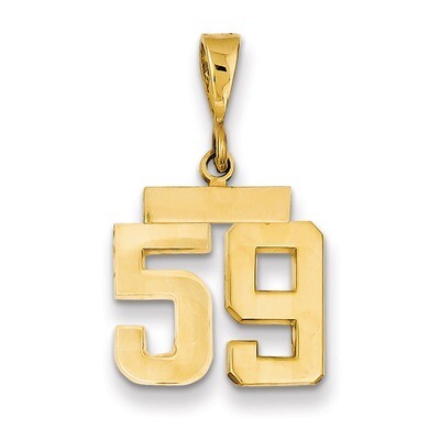 Number 59 Charm 14k Gold Small Polished SP59, MPN: SP59, 883957141367