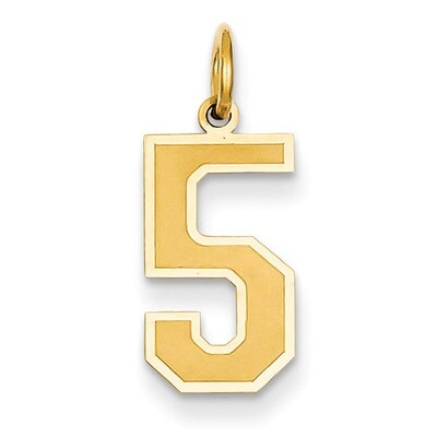 Medium Satin Number 5 Charm 14k Gold LSM05, MPN: LSM05, 886774102382