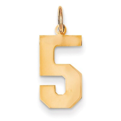 Medium Polished Number 5 Charm 14k Gold LM05, MPN: LM05, 886774101972