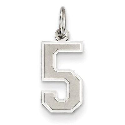 Small Satin Number 5 Charm 14k White Gold WSS05, MPN: WSS05, 886774121499