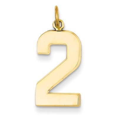 Casted Large Polished Number 2 Charm 14k Gold LP02, MPN: LP02, 886774102146