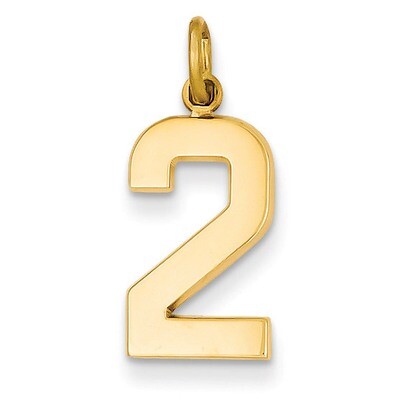 Casted Medium Polished Number 2 Charm 14k Gold MP02, MPN: MP02, 886774103044
