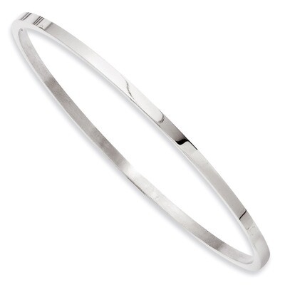 Bangle - Stainless Steel SRB847 by Chisel, MPN: SRB847, 886774192475