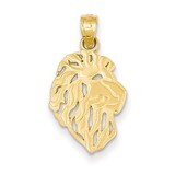 Lion Head Pendant 14k Gold D4225, MPN: D4225, 637218083800