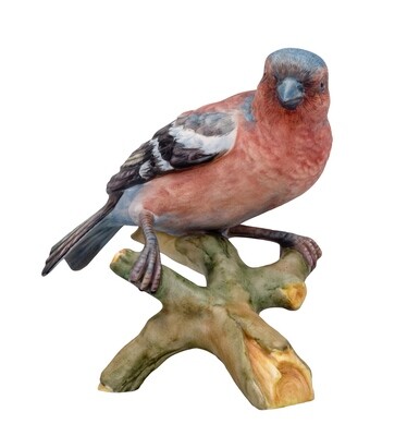 Vista Alegre Pssaros Finch, MPN: 21093363,