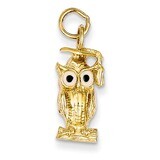 Graduation Owl Charm with Enamel 14k Gold A1546/L, MPN: A1546/L, 883957853352