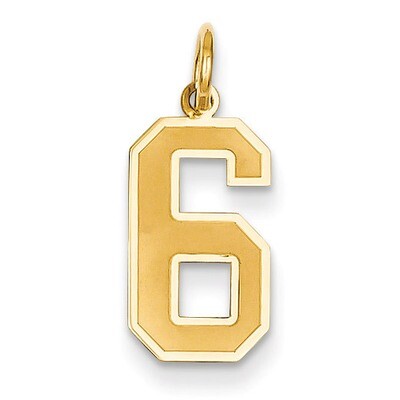 Medium Satin Number 6 Charm 14k Gold LSM06, MPN: LSM06, 886774102399