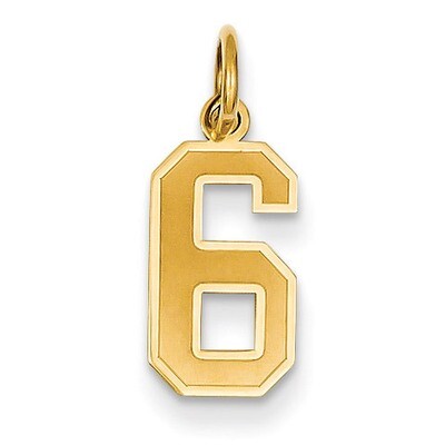 Small Satin Number 6 Charm 14k Gold LSS06, MPN: LSS06, 886774102498