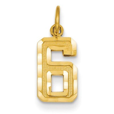 Casted Small Diamond Cut Number 6 Charm 14k Gold SN06, MPN: SN06, 883957104553