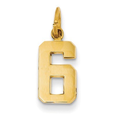 Casted Small Polished Number 6 Charm 14k Gold SP06, MPN: SP06, 191101371684