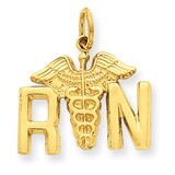 Registered Nurse Charm 14k Gold A0390, MPN: A0390, 883957852966