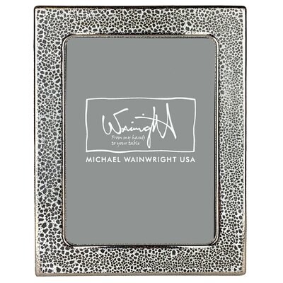 Michael Wainwright Panthera Platinum 5 x 7 Picture Frame 88PA56, MPN: 88PA56, 810027201492