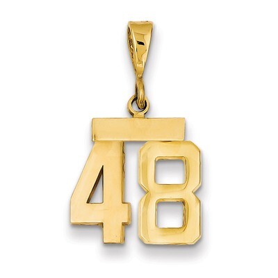 Number 48 Charm 14k Gold Small Polished SP48, MPN: SP48, 883957141251