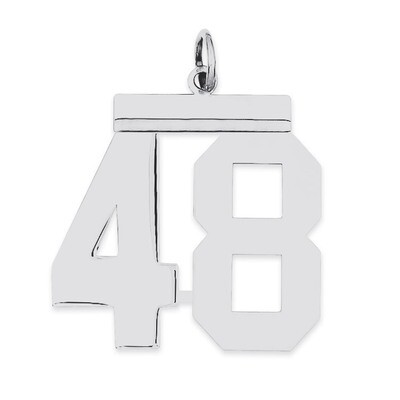 Charm Number 48 Polished Sterling Silver Large QPL48, MPN: QPL48, 191101280986