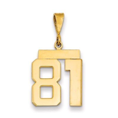 Number 81 Charm 14k Gold Medium Polished MP81, MPN: MP81, 883957136226