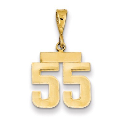 Number 55 Charm 14k Gold Small Polished SP55, MPN: SP55, 883957141329