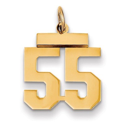 Number 55 Charm 14k Gold Small Polished LS55, MPN: LS55, 883957033778