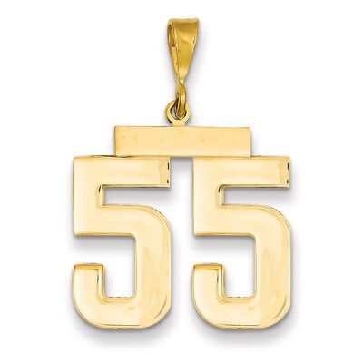 Number 55 Charm 14k Gold Large Polished LP55, MPN: LP55, 883957067407