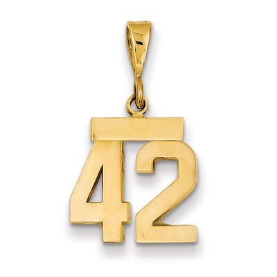 Number 42 Charm 14k Gold Small Polished SP42, MPN: SP42, 883957141176