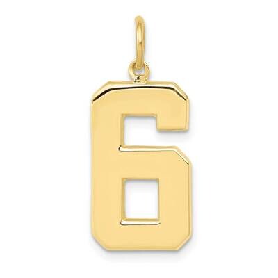 Polished Number 6 Charm 10k Gold Casted Large 10LP06, MPN: 10LP06,