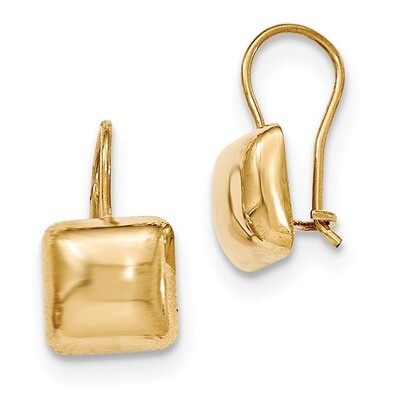 9.5mm Puffed Square Kidney Wire Earrings 14k Gold Polished H1040, MPN: H1040, 658226130393