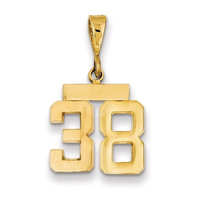 Number 38 Charm 14k Gold Small Polished SP38, MPN: SP38, 883957141121