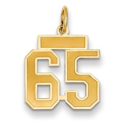 Number 65 Charm 14k Gold Small Satin  LSS65, MPN: LSS65, 883957069944