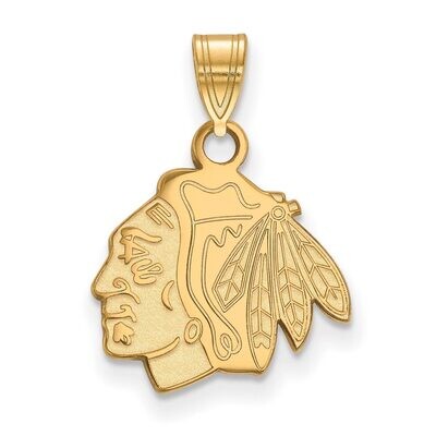 Chicago Blackhawks Small Pendant Gold-plated Silver GP002BLA, MPN: GP002BLA, 886774740607