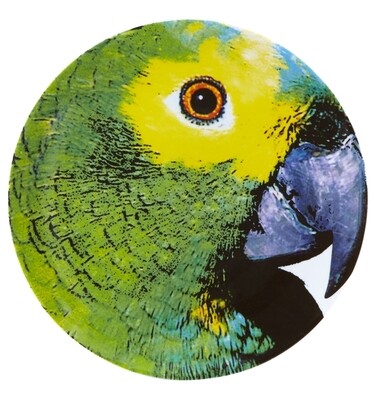 Vista Alegre Olhar O Brasil Charger Plate Parrot, MPN: 21119996,