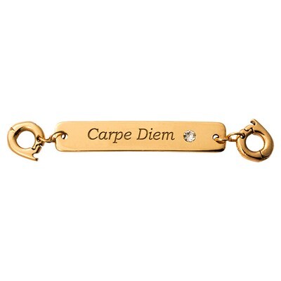 Nikki Lissoni Carpe Diem Tag Gold-Plated 40X7mm Two lock  Plate D1227GL, MPN: D1227GL, 8719075300091