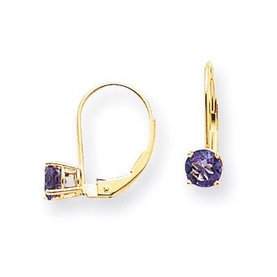 5mm Amethyst Leverback Earrings 14k Gold XLB111AM, MPN: XLB111AM, 883957119588