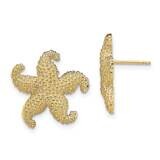 Puffed Starfish Post Earrings 14k Gold TE788, MPN: TE788, 637218040803