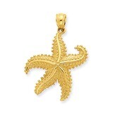 2-D Starfish Pendant 14k Gold D4104, MPN: D4104, 637218052332