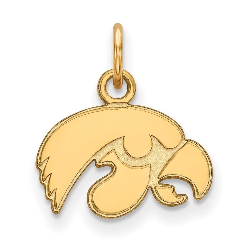 University of Iowa x-Small Pendant 10k Yellow Gold 1Y001UIA, MPN: 1Y001UIA, 886774795829