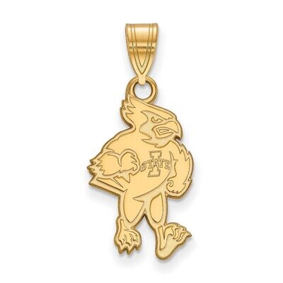 Iowa State University Large Pendant 10k Yellow Gold 1Y018IAS, MPN: 1Y018IAS, 886774811116