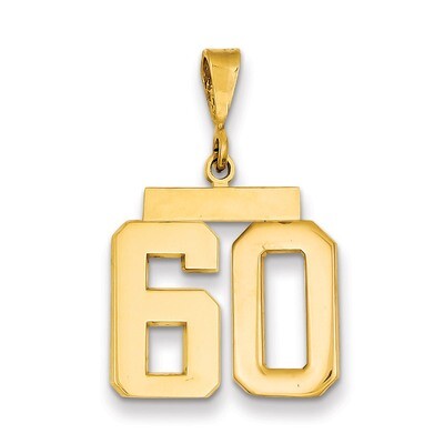 Number 60 Charm 14k Gold Medium Polished MP60, MPN: MP60, 883957135540