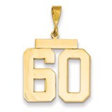 Number 60 Charm 14k Gold Large Polished LP60, MPN: LP60, 883957067520